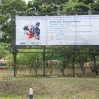 2012-nakhorn-ratchasima-billboards_11.jpg