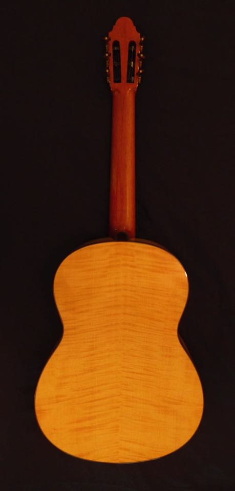 Schnabl maple_5