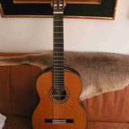 Royal Guitar by Gerhard Schnabl_3.jpg