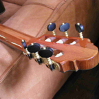 Royal Guitar by Gerhard Schnabl_5.jpg